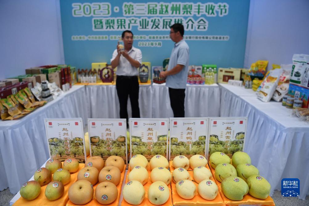 跳槽转运金